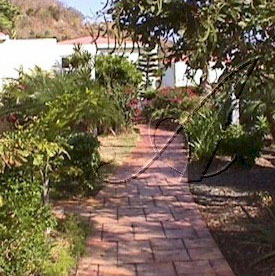 Villa Madeleine Tropical Grounds