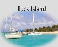St. Croix's Buck Island Beach is a must do expereience!