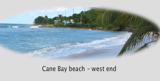 St. Croix Cane Bay beach is known for its 70 ft. scuba diving drop wall