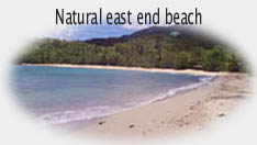 Any St. Croix beach is good for walking, snorkeling, swimming, shelling!