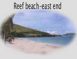 St. Croix beach features fine white sand