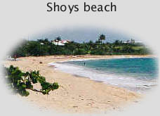 St. Croix Shoys beach